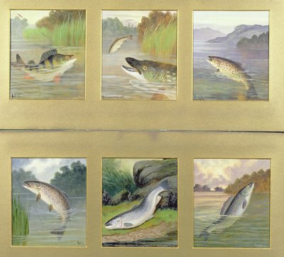 魚の絵の選択 作： A. Roland Knight